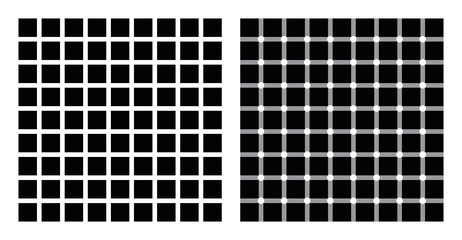 hermann grid and scintillating grid illusion. in the left figure grey blobs perceived at the interse