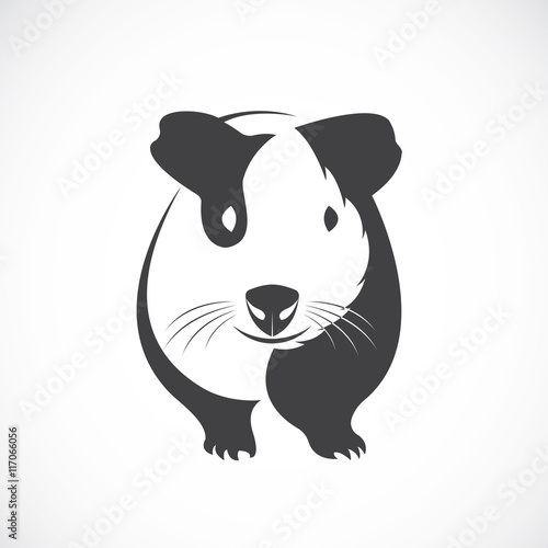 Vector of guinea pig design on white background. Stock Vector | Adobe Stock