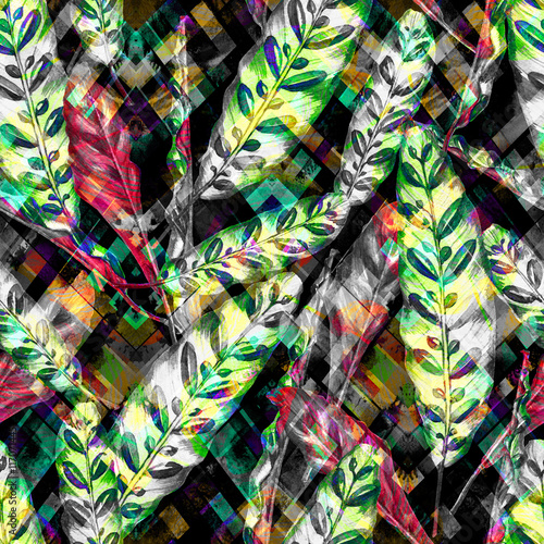 wzor-tropikalny-lisci-kolorowi-liscie-egzotyczna-calathea-insignis-roslina-na