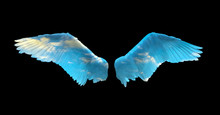 Angel Wings Isolated On Black Background And Blue Sky Is Visible