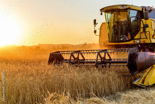 Hasat zaman Canvas-taulu