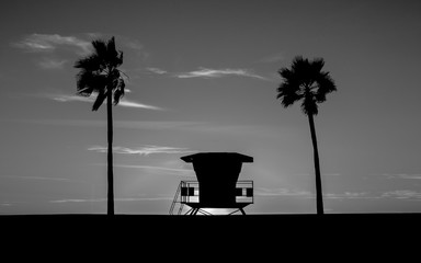 Lifeguard Tower in black and white - The Lifeguard Tower and Palm Tree on the Beach in monochrome