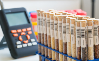 Sticker - Test tubes with food grain. Inspection of food ingredients in chemical laboratory. Check of  Harmful substances