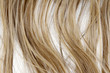 © Stillfx - Blonde hair close-up