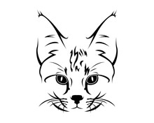 Cat Breed Line Art Logo - Savannah