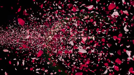 Wall Mural - Rose Flower Petals and Lens Flares.