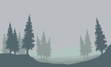 Fototapeta Na ścianę - Silhouette of spruce in fog