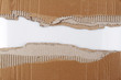 © Stillfx - Gap in ripped corrugated cardboard