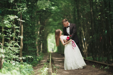  luxury stylish young bride and groom on the background spring sunny green forest