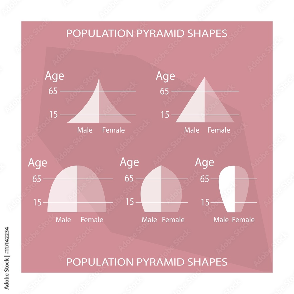 The Different Types of Population Pyramids Charts Stock Vector | Adobe ...