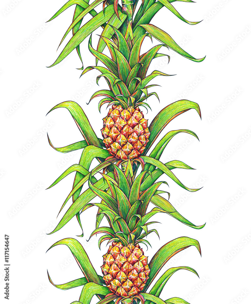 Pineapple with green leaves tropical fruit growing in a farm. Pineapple ...