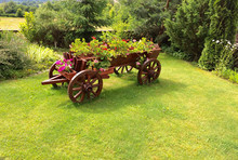 Flower Bed An Old Wooden Cart, Flowerbed Grass Lawn Garden Design Element, Outdoor Rustic Landscaping