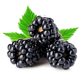 Wall Mural - Fresh blackberries with leaves close-up isolated on a white background.