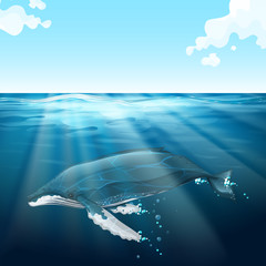 Wall Mural - Whale swimming under the blue sea