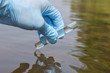 © adragan - Sample water from the river for analysis. Hand in glove holding