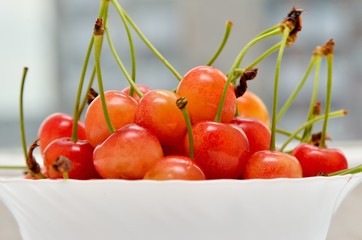 Wall Mural - Ripe cherries in a white plate on a white background. Porcelain bowl filled with fruit, still life.