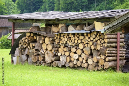 Brennholzlagerung unter einem selbstgebautem Unterstand – kaufen Sie
