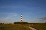 Fototapeta Natura - Leuchtturm Ameland mit Dünen