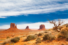 Elephant Butte At Monument Valley - United States Of America