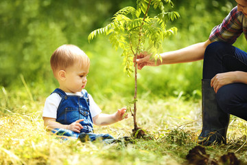cute baby boy planting tree with parent in garden