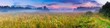 canvas print picture - Wild foggy meadow landscape