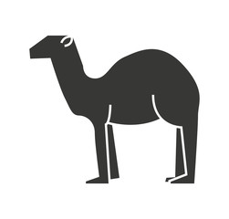 Poster - camel animal silhouette