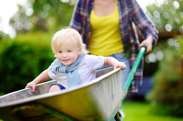 Wall Mural - Adorable toddler boy having fun in a wheelbarrow pushing by mum in domestic garden, on warm sunny day