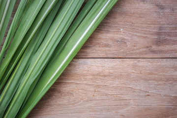 Green leaf of sugar tree on wooden background