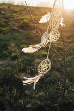 Dreamcatcher Hanging From A Tree In A Field At Sunset