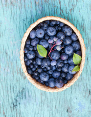 Canvas Print - fresh blueberries