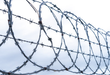 Coiled razor and barbed wire fence