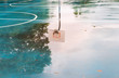 Basketball court after rain. Basketball half-court line. Outdoor court wet with rain. Court with reflective water. Tree and sun reflection on water. Abstract art. Minimal design. Abstract design.