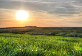 Sunset over green grass field.