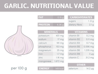 Wall Mural - Garlic vector infographic