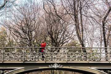 Poster - Girl crossing a bridge at Central Park in Manhattan, New York Ci