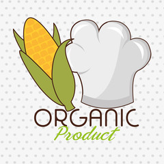 Poster - organic food chef hat