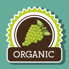 Poster - organic food fruit icon