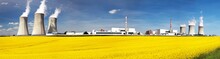 Nuclear Power Plant With Field Of Rapeseed