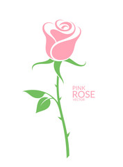 Poster - Pink rose. Isolated flower on white background