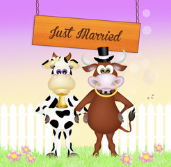 Sticker - Marriage of cow and bull