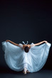 © master1305 - Portrait of the classical ballerina in white dress on black background