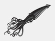 Black squid or cuttlefish with swirl arms