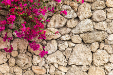 Stone Wall With Flowers