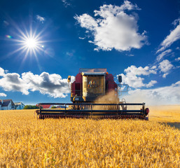 Wall Mural - Combine harvester working