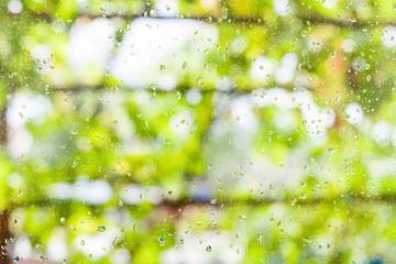 Wall Mural - rain drops on window and blurred vineyard