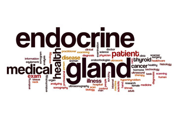 Canvas Print - Endocrine gland word cloud concept