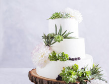 Elegant Wedding Cake With Flowers And Succulents