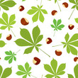  Vector seamless pattern of chestnut leaves and nuts in colour on white background. Cover design.