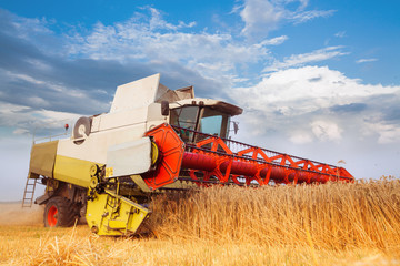 Combine-harvester collecting wheat grain. Golden field in the lights of summer sun.Cloud blue sky. Horizontal. Working concept