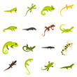 Flat lizard icons set. Universal lizard icons to use for web and mobile UI, set of basic lizard elements isolated vector illustration